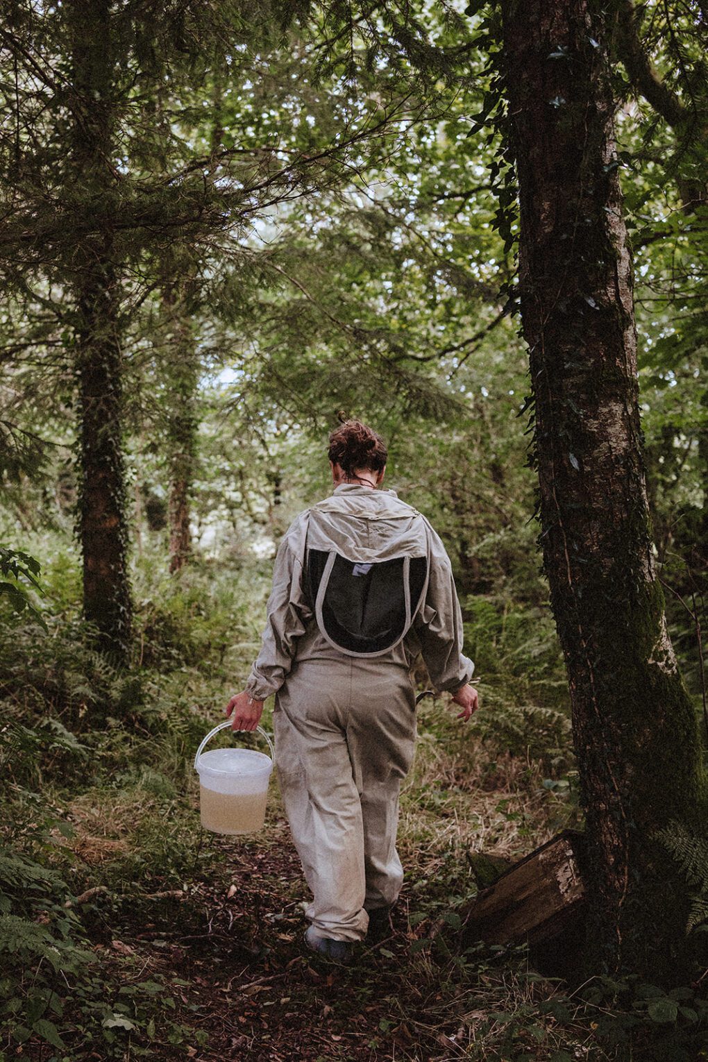 Beekeeper in suit walking away from camera holding bucket of honey