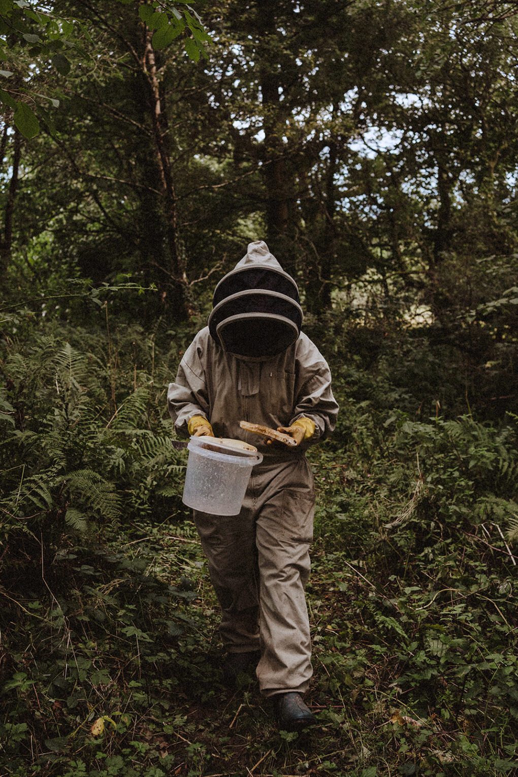 Full length Beekeeper in suit walking with honeycomb in hand