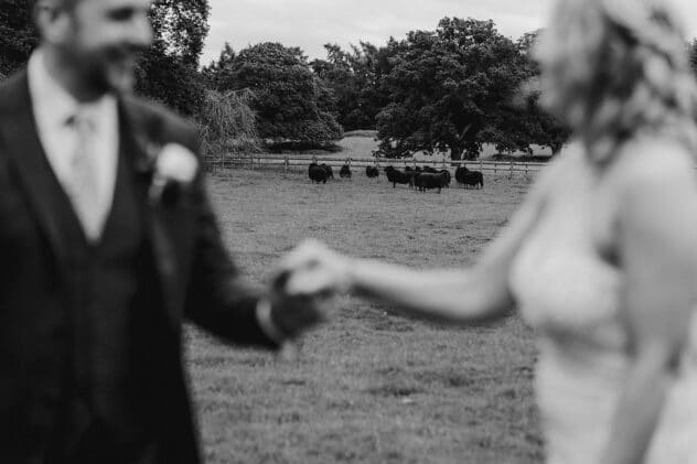 Bride and groom are out of focus in foreground with sheep in the background on the grounds of Iscoyd Park